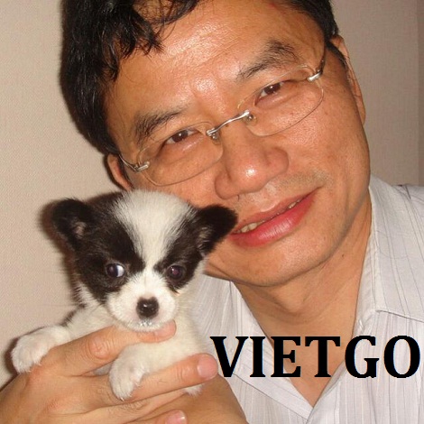 Quang-sat-VIETGO